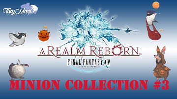 FFXIV A Realm Reborn Minions Collection #3