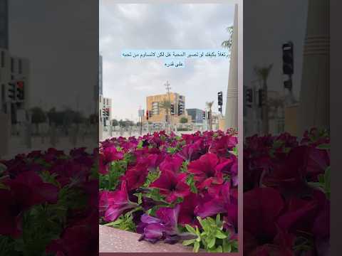 مرني لا تاه دربك من زحام الحياة الغلا اللي رحت من ه على حطة يدك اكسبلور شيلات عبارات 