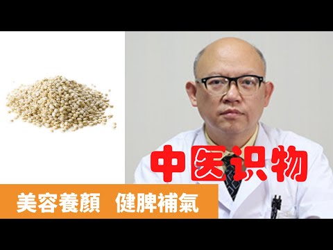 藜麥的功效和作用 【保健養生】生生不息