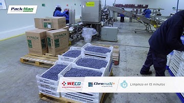 Weco Sorters (corto)