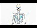 Nuclear Medicine Rapid Recall 🔥 | Must-Know One-Liners for Exams