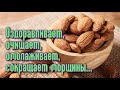 Продукт ВЕЧНОЙ МОЛОДОСТИ и БОГАТЫРСКОГО ЗДОРОВЬЯ