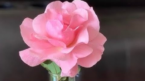 How To Get Community Tab On Mobile IPad Computer Tablet ￼ (0 Subscribers Still Works! 2022 Edition)