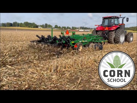 Video: Kukurūzų stiebai – informacija apie kukurūzų stiebus