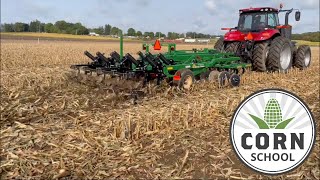 Corn School: Why do farmers till corn stalks?