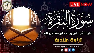 سورة البقرة كاملة, رقية للبيت, وعلاج للسحرسورة البقرة طاردة الشياطين تلاوة للنوم | Surah Al Baqarah