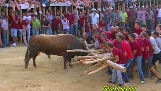 Toros AldeiaVelha 2018 Precioso Espectáculo taurino en Portugal