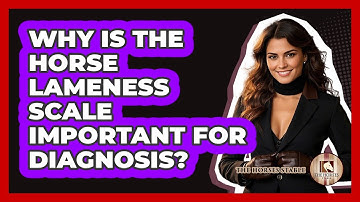 Why Is The Horse Lameness Scale Important For Diagnosis? - The Horses Stable