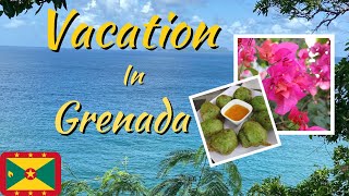 Flying To Grenada  🇬🇩 | Birthday Vacation, Delicious Caribbean Food, Airbnb Tour | Travel Vlog #1