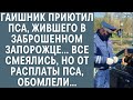 Гаишник приютил пса, жившего в заброшенном «Запорожце»… Все смеялись, но от расплаты пса обомлели...