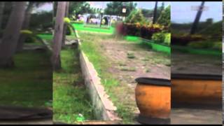 Download MalangTIMES - Video Mesum di Taman Merjosari MalangTIMES - Video Mesum di Taman Merjosari