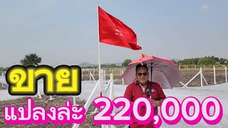 #ขายที่ดินราคาถูกมาก ปลูกบ้านได้ แปลงล่ะ 220,000 😄😄😄 อู่ทอง สุพรรณบุรี น้ำไฟ รั้ว ครบ อยู่ในชุมชน