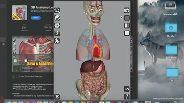 3D Anatomy Learning Mac App Store (Basic Overview)