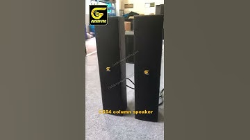 CS-54 Column Speaker