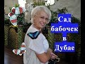 ▶️Сад бабочек в Дубае.