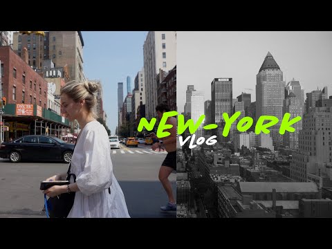 Видео: Собаки Нью-Йорка: мультфильмы о собаках The New Yorker