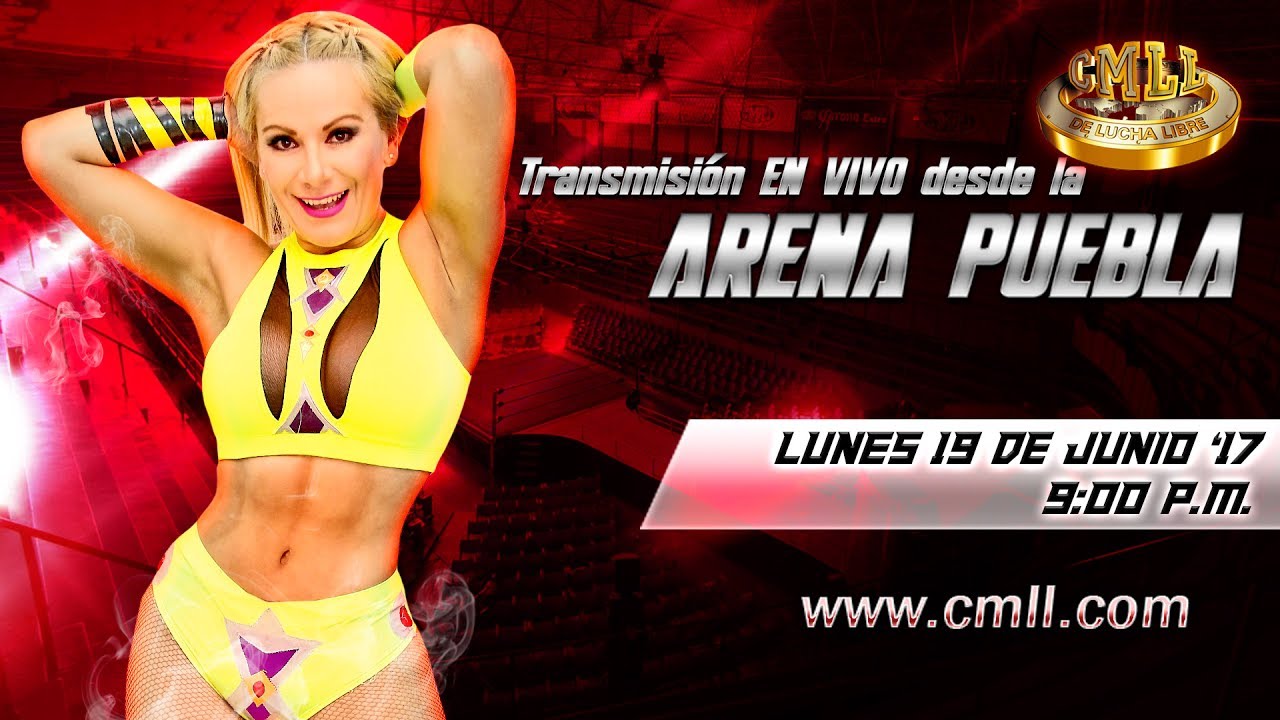 LA MEJOR LUCHA LIBRE EN VIVO DESDE LA ARENA PUEBLA 19 DE JUNIO DEL 2017 casas en venta en puerto vallarta