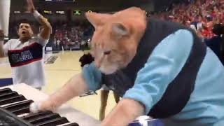 Gu Champs Live In Spokane With Keyboard Cat