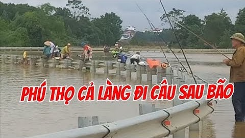 Cả làng ra câu cá sau bão số 10