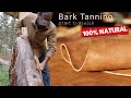 Hide Tanning 101 - How to make Leather from Animal Skins, NATURALY