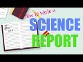 How to write a scientific report