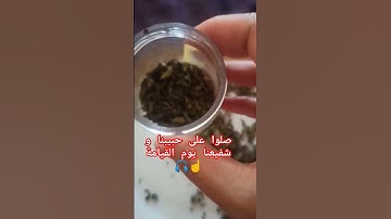 سر آخر آيتين من سورة البقرة❤️❤️ #بدر_المشاري #للبثシ #foryou #محبي_صبرا #الرحمن #القرآن_الكريم