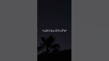 #quran #قران #куран #اكسبلور #تلاوات_خاشعة #شاشه_سوداء #قران_كريم #تصاميم_قرآن