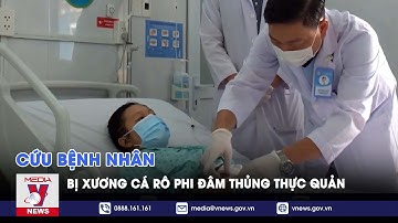 Cứu bệnh nhân bị xương cá rô phi đâm thủng thực quản - VNEWS