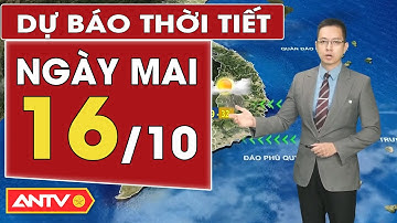 Dự báo thời tiết mới nhất ngày mai 16/10: Bắc Bộ nắng, Trung Bộ mưa vài nơi | ANTV