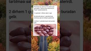 Karatın Sırrı Keçi Boynuzundan Elmas Tartısına