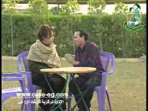 سر الارض حلقة زراعة الكتان في الاراضي الجديدة