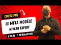 Cours pnl le meta modle en pnl niveau expert