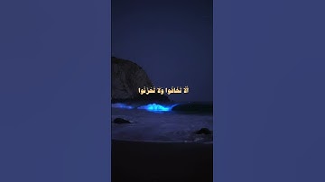 ناصر القطامي سورة فصلت | إِنَّ الَّذِينَ قَالُوا رَبُّنَا اللَّهُ ثُمَّ اسْتَقَامُوا