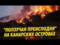 "Ползучая преисподняя" на Канарских островах