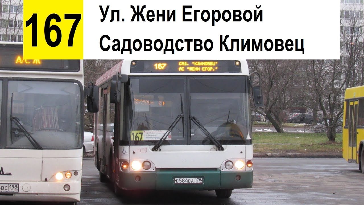 Автобус 167 расписание спб