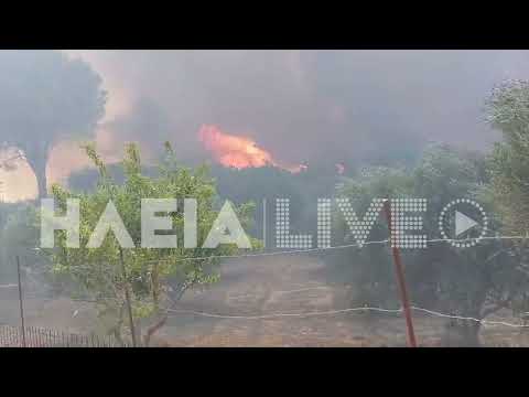 ilialive.gr - Σοβαρή αναζωπύρωση στην πυρκαγιά της Πηνείας