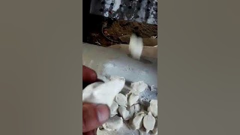 TF-60 Multifunctional Dumpling Machine