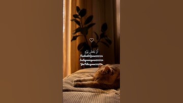 #سورة_المؤمنون #اسلام_صبحي #آية 111-114 #إسلام_صبحي #تلاوات #قرآن #قران_كريم #تلاوة_خاشعة #ادعموني ✨