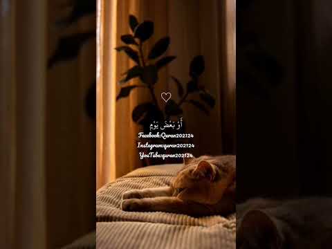 سورة المؤمنون اسلام صبحي آية 111 114 إسلام صبحي تلاوات قرآن قران كريم تلاوة خاشعة ادعموني 