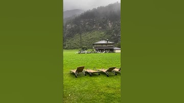 وَنُنَزِّلُ مِنَ القُرآنِ ما هُوَ شِفاءٌ وَرَحمَةٌ لِلمُؤمِنينَ | سورة الاسراء #سعود_الفايز #قرآن