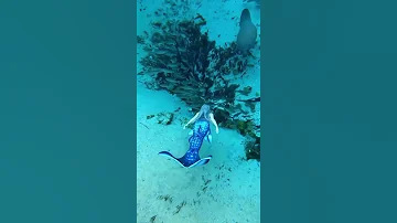 Dreamy underwater Real Mermaid #shorts #youtubeshorts #travel