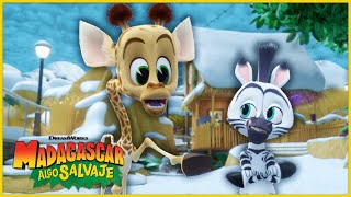 Un Divertido Día Nevado Dreamworks Madagascar En Español Latino