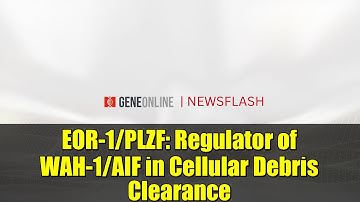 EOR-1/PLZF: Regulator of WAH-1/AIF in Cellular Debris Clearance