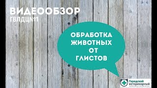 Видеообзор: обработка животных от глистов Видеообзор: обработка животных от глистов