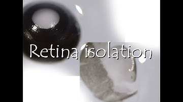 Retina Isolation