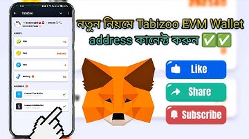 tabizoo evm wallet connect!! how to connect tabizoo evm wallet connect? tabizoo wallet connect