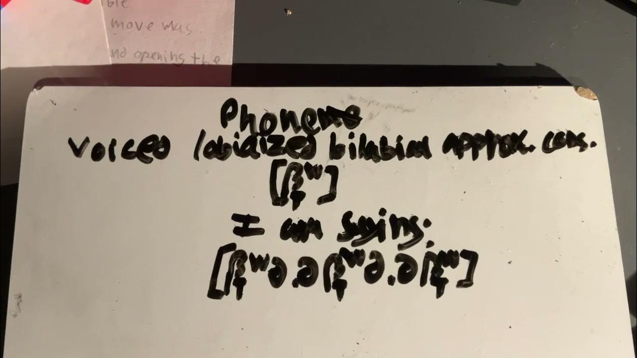 (Phone) [β̞ʷ] voiced labialized bilabial approximant consonant YouTube