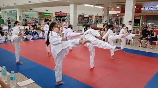 Low Yellow Taekwondo Promotion Test