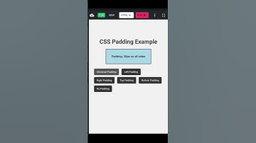 padding in css | css padding #css #padding #webdevelopment #shorts | Code Alchemy