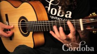 Basic Flamenco Techniques chords